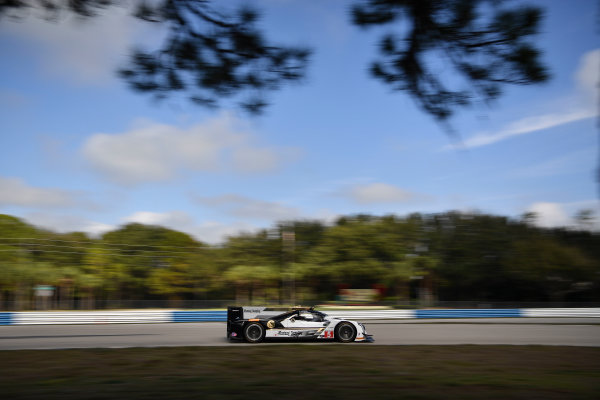 2017 WeatherTech SportsCar Championship - IMSA February Test
Sebring International Raceway, Sebring, FL USA
Thursday 23 February 2017
5, Cadillac DPi, P, Joao Barbosa, Christian Fittipaldi, Filipe Albuquerque
World Copyright: Richard Dole/LAT Images

ref: Digital Image RD_2_17_58