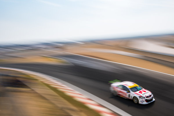 2017 Supercars Championship Round 2. 
Tasmania SuperSprint, Simmons Plains Raceway, Tasmania, Australia.
Friday April 7th to Sunday April 9th 2017.
Nick Percat drives the #8 Team Clipsal Brad Jones Racing Commodore VF.
World Copyright: Daniel Kalisz/LAT Images
Ref: Digital Image 070417_VASCR2_DKIMG_0444.JPG